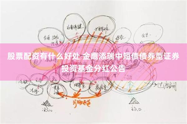 股票配资有什么好处 金鹰添瑞中短债债券型证券投资基金分红公告
