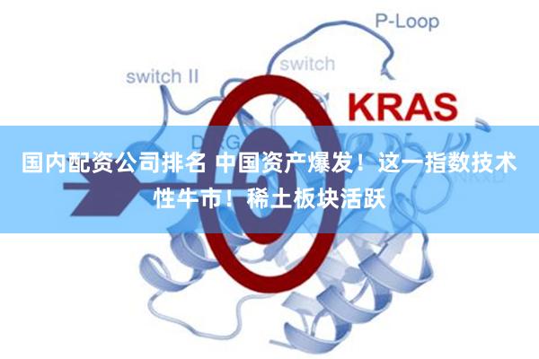 国内配资公司排名 中国资产爆发！这一指数技术性牛市！稀土板块活跃