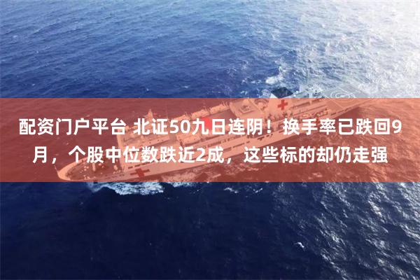 配资门户平台 北证50九日连阴！换手率已跌回9月，个股中位数跌近2成，这些标的却仍走强