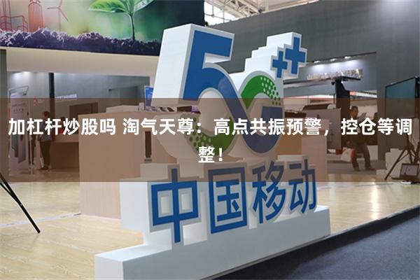 加杠杆炒股吗 淘气天尊：高点共振预警，控仓等调整！